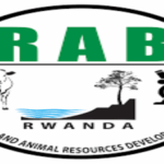 6 Job Positions at RAB: Deadline: Feb 17, 2026 (EXPIRES IN ONE DAY)